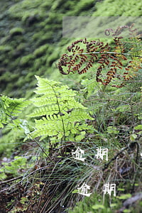 逾期幾次上征信黑名單能恢復(fù)嗎-逾期幾次上征信黑名單能恢復(fù)嗎知乎