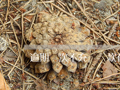 逾期幾次不充許貸款(有幾次逾期就不能貸款)