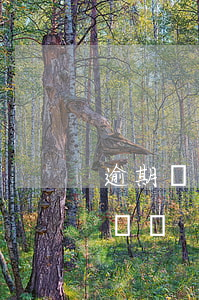 逾期幾次不能分期購車(逾期一次可以分期買車嗎)