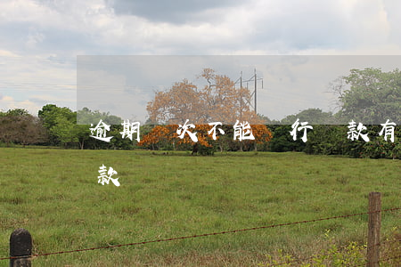 逾期幾次不能銀行貸款(有幾次逾期就不能貸款)
