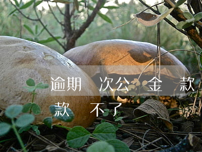 逾期幾次公積金貸款辦理(逾期幾次公積金貸款辦不了)