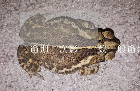 逾期幾次影響貸款(一般逾期幾次影響貸款)