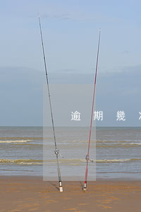 逾期幾次會(huì)顯示信用差