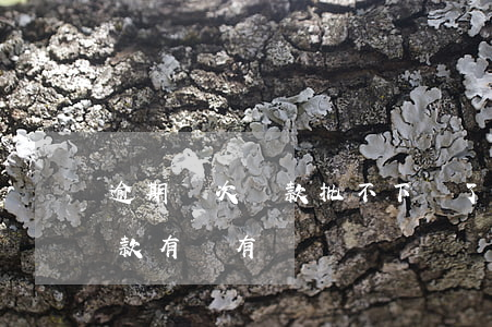 逾期幾次貸款批不下來了(逾期了一次以后貸款有沒有問題)