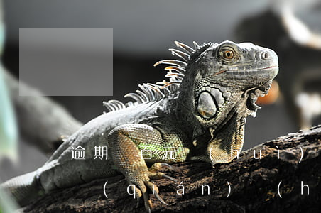 逾期幾百元會(huì)起訴嗎 逾期幾千塊錢(qián)會(huì)被起訴嗎