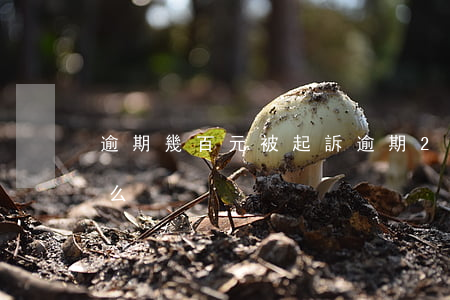 逾期幾百元被起訴(逾期2000元會被起訴么)