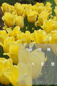 逾期幾百塊會影響房貸嗎(逾期一次房貸有多大影響)