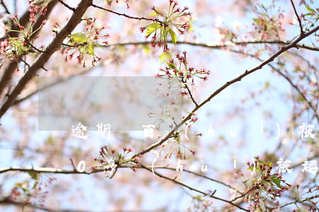 逾期幾百會(huì)被起訴嗎(逾期2000多會(huì)被起訴嗎)