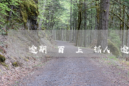 逾期幾百會上門抓人嗎(逾期1600會上門嗎)