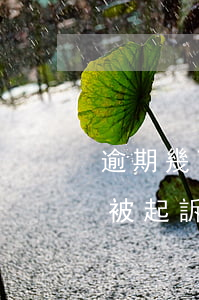 逾期幾百被起訴(逾期幾百塊錢會(huì)被起訴嗎)