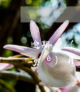 逾期幾號(hào)上征信(征信逾期每個(gè)月幾號(hào)更新)