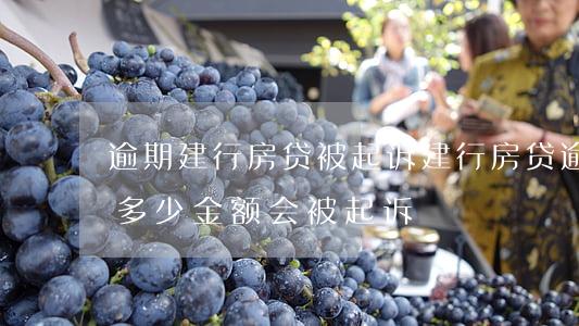 逾期建行房贷被起诉(建行房贷逾期多久或者多少金额会被起诉)