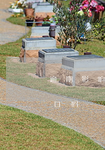 逾期影响入深户吗（信用卡逾期影响转深圳户口吗）