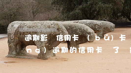 逾期影響信用卡補(bǔ)卡嗎(已經(jīng)逾期的信用卡丟了還能補(bǔ)卡嗎)