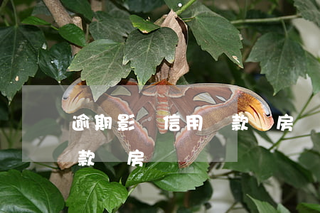 逾期影響信用貸款買房嗎(信用卡逾期影響貸款買房嗎)