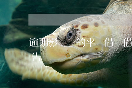 逾期影響別的平臺借錢(借平臺錢逾期了會被告嗎)