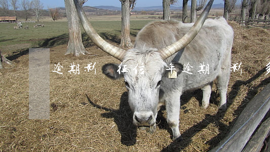 逾期影響征信幾年（逾期會影響多久征信）