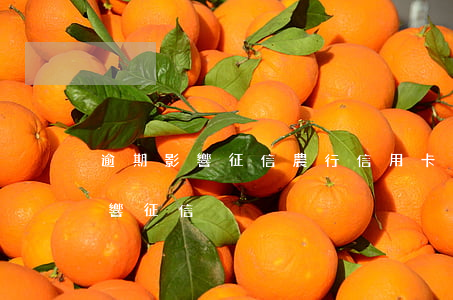 逾期影響征信(農行信用卡超過幾天算逾期影響征信)