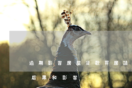 逾期影響房屋貸款買房(請問房貸逾期有什么后果和影響)