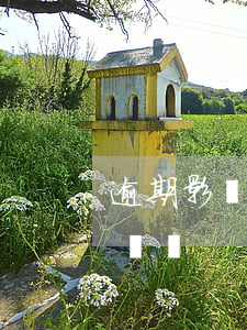 逾期影響搖號嗎（信用卡逾期多次可以參與搖號嗎）