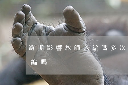 逾期影響教師入編嗎(多次逾期會影響教師入編嗎)