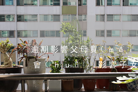 逾期影響父母買(mǎi)房貸款(父母逾期會(huì)影響子女買(mǎi)房)