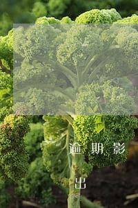 逾期影響申請信用卡（信用卡逾期半年會影響出國嗎）