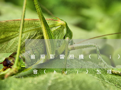 逾期影響租機(jī)嗎(租機(jī)逾期會(huì)怎樣)