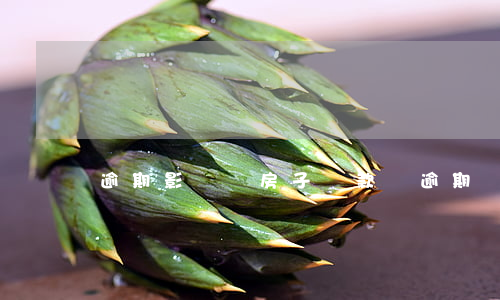 逾期影響買房子貸款嗎(逾期對房貸影響大嗎)