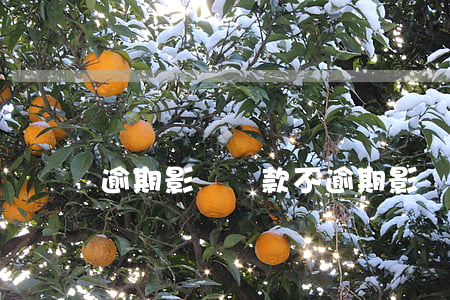 逾期影響貸款不 逾期影響貸款不還怎么辦