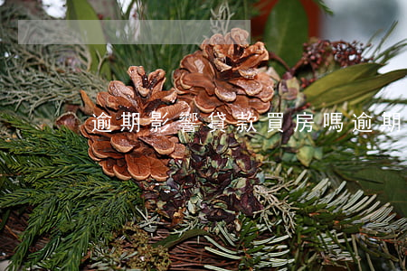 逾期影響貸款買房嗎(逾期影響貸款買房嗎)