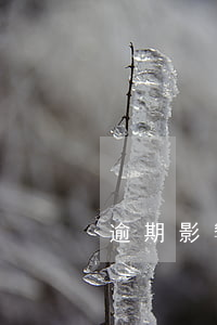 逾期影響開戶嗎(逾期可以開戶嗎)