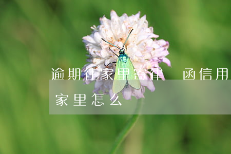 逾期往家里寄律師函(信用卡逾期律師函寄到家里怎么辦)