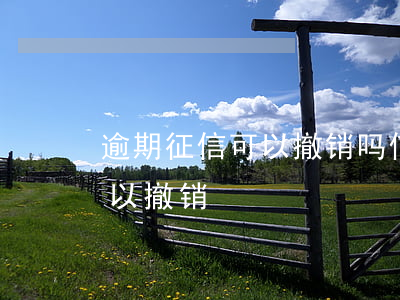 逾期征信可以撤销吗（信用卡逾期上了征信可以撤销）