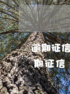 逾期征信幾年能申請(qǐng)信用卡(逾期征信幾年能申請(qǐng)信用卡)