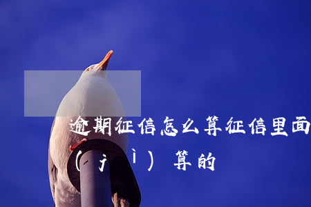 逾期征信怎么算(征信里面的逾期記錄怎么計(jì)算的)