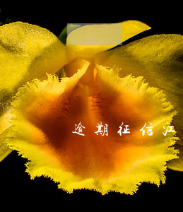 逾期征信江蘇政審-逾期征信江蘇政審能過嗎
