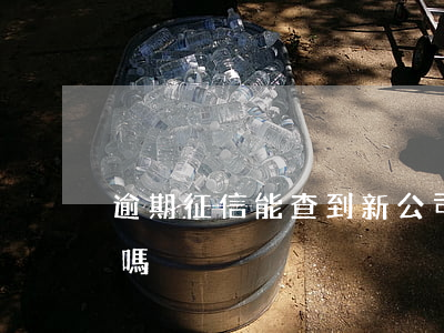 逾期征信能查到新公司嗎(逾期征信影響工作嗎)