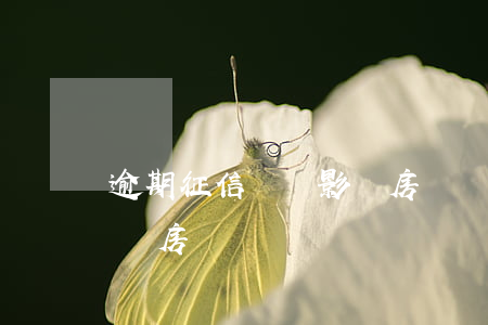 逾期征信記錄影響房貸嗎(征信逾期記錄影響買房嗎)