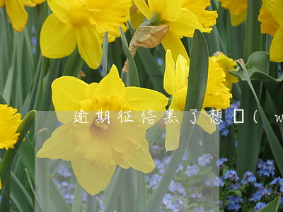 逾期征信黑了想網(wǎng)上借500