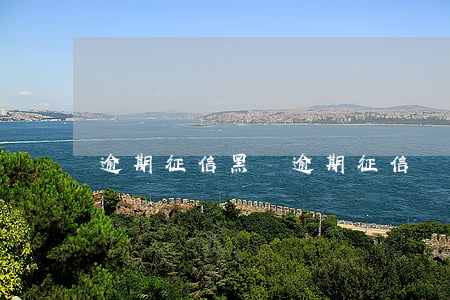 逾期征信黑嗎(逾期征信會黑嗎)