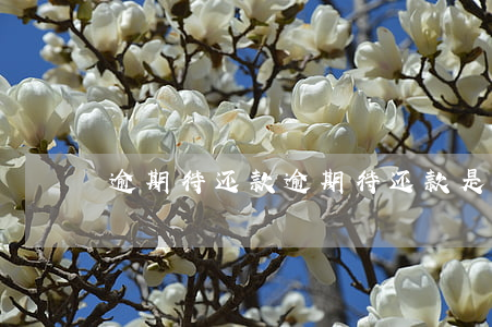 逾期待还款，逾期待还款是什么意思