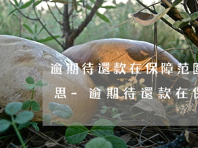 逾期待還款在保障范圍內(nèi)什么意思-逾期待還款在保障范圍內(nèi)什么意思啊