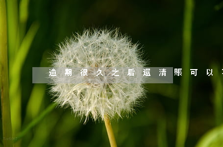 逾期很久之后還清賬可以不要利息