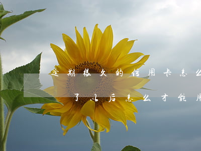 逾期很久的信用卡怎么還(信用卡逾期幾個月還了以后怎么才能用)
