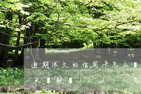 逾期很久的信用卡怎么還款（信用卡了逾期幾天還款會(huì)怎么樣）
