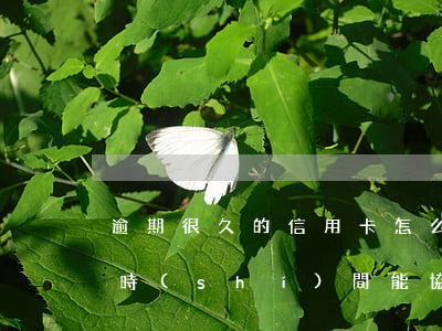 逾期很久的信用卡怎么還款（信用卡逾期多長時(shí)間能協(xié)商還款）
