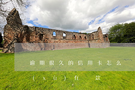 逾期很久的信用卡怎么還款（信用卡逾期陸續(xù)在還款）
