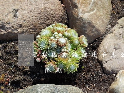 逾期很久的信用卡怎么還款（信用卡還款逾期寬限期）