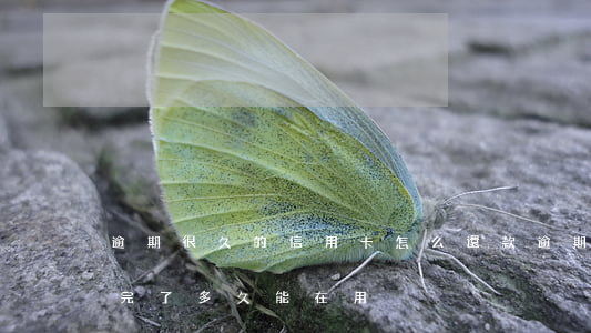 逾期很久的信用卡怎么還款（逾期的信用卡還完了多久能在用）